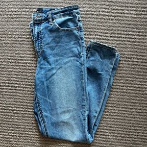 Lucky Brand Bridget Highwaisted Skinny Jeans